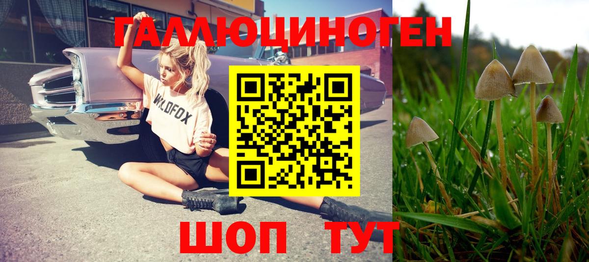 Галлюциногенные грибы ЛСД Дербент